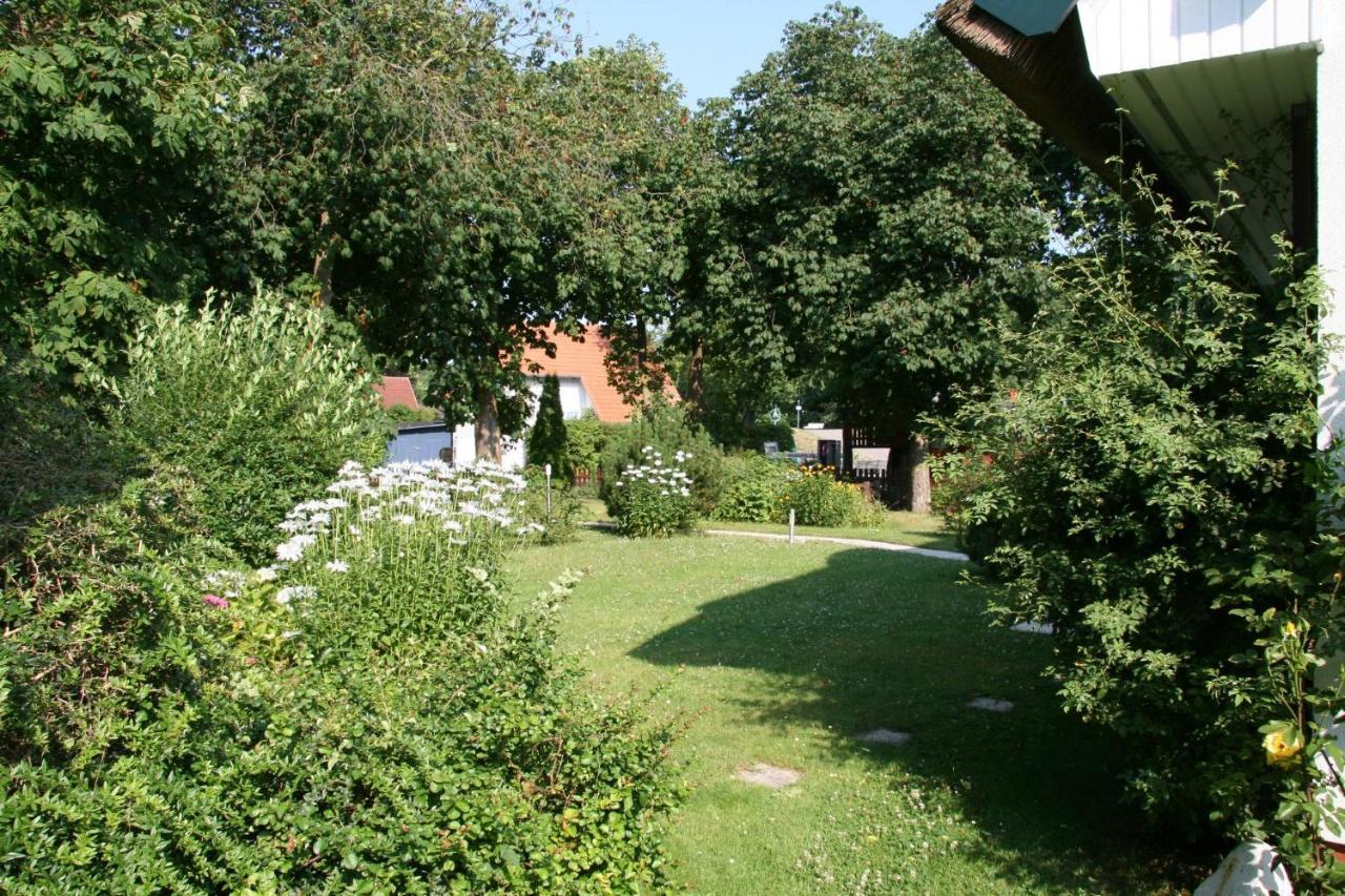 Strandstuebchen Zingst Εξωτερικό φωτογραφία
